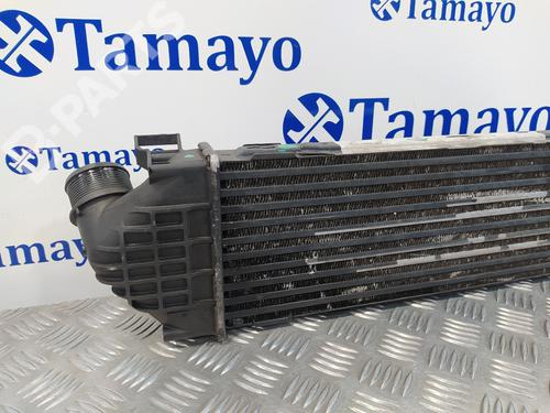 Intercooler FORD S-MAX (WA6)  | BP12069479M30 
