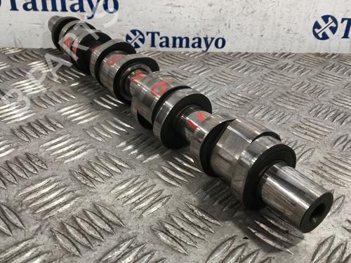 Other AUDI A4 B7 Avant (8ED) 2.0 TDI 16V | BP29866690O1