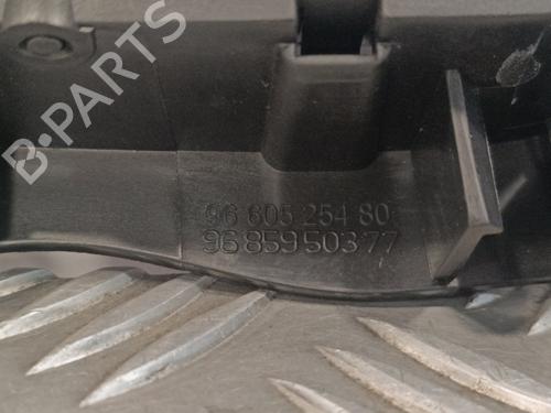Front left interior door handle CITROËN C4 II (NC_)  | BP16887676I13 