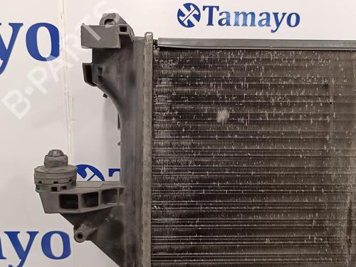 Water radiator FIAT DUCATO Van (250_)  | BP15772417M31 