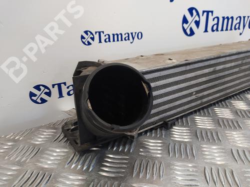 Intercooler BMW 1 (E87)  | BP10195261M30 