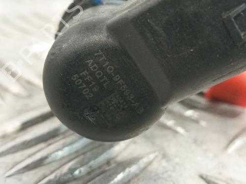 Injector FORD TRANSIT CONNECT (P65_, P70_, P80_) 1.8 TDCi | BP30587240M100