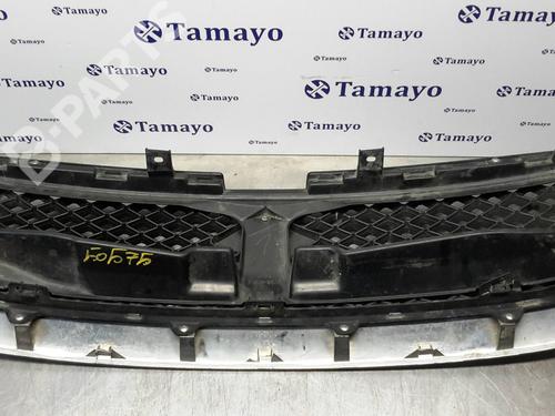 BP6811636C40 | Grill / Grid SUZUKI GRAND VITARA II (JT, TE, TD) 1.9 DDiS All-wheel Drive (JT419, TD44, JB419WD, JB419XD) BP6811636C40