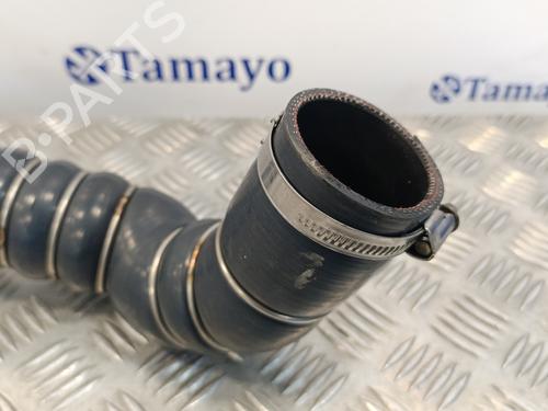 Pipe RENAULT KOLEOS I (HY_)  | BP18160790M125 