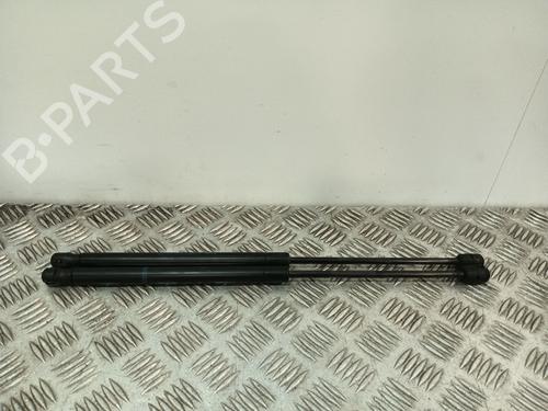 tailgate-lift-support-citroen-c2-jm_-2003-2004-2005-2006-2007-2008-2009-2010-2011-2012-2013-2014-2015-2016-2017-33538674 main image