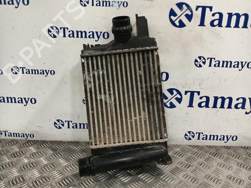 Intercooler DACIA DOKKER Box Body/MPV 1.5 dCi 75 / Blue dCi 75 (FEJW, FEAH) (75 hp) 31636709