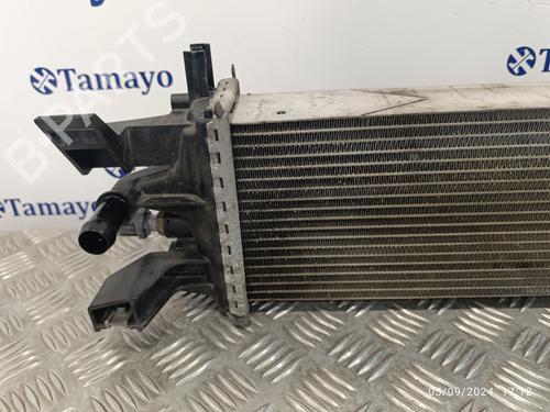 Intercooler FORD FOCUS III  | BP19509220M30 