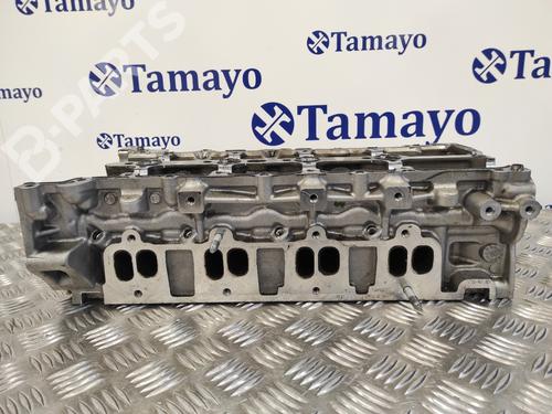 Cylinder head NISSAN QASHQAI / QASHQAI +2 I (J10, NJ10, JJ10E)  | BP10970008M5 