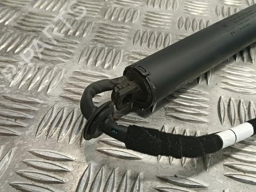 Tailgate lift support LAND ROVER DISCOVERY SPORT (L550)  | BP24288107C138 