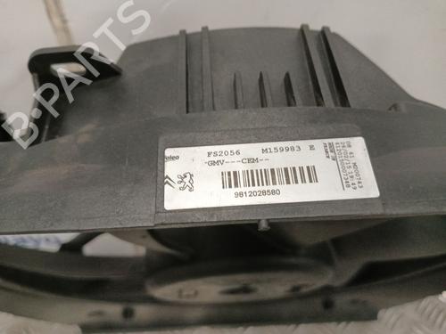Radiator fan CITROËN C3 II (SC_)  | BP27986067M35 