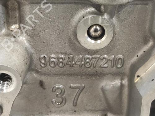 Cylinder head FIAT SCUDO Bus (270_, 272_)  | BP12251344M5 