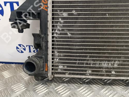 Køler FIAT DUCATO Van (250_)  | BP20291794M31 