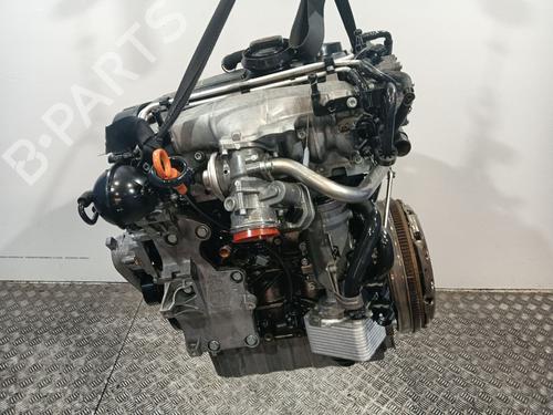 Used Engine Engine AUDI A3 (8P1) 2.0 TDI 16V (140 hp) 34099703 34099703