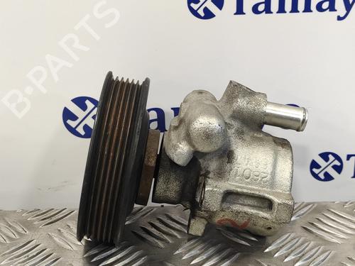 Steering pump SEAT IBIZA II (6K1)  | BP13619771M99 