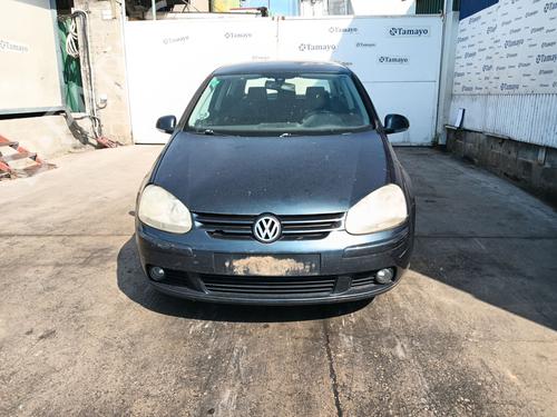 Engine VW GOLF V (1K1) 1.9 TDI | BP29220091M1 