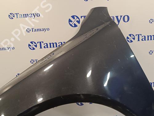Left front fenders VW TOUAREG (7LA, 7L6, 7L7) 2.5 R5 TDI | BP17016968C41 