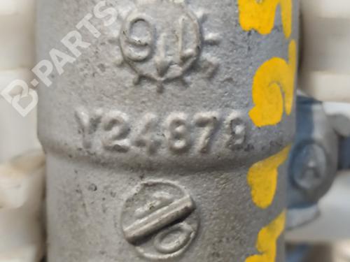 Brake master cylinder CITROËN C4 II (NC_)  | BP8632439M77 