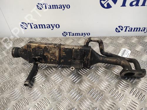 Egr MERCEDES-BENZ M-CLASS (W164) ML 300 CDI 4-matic (164.121) | BP14357963M69 