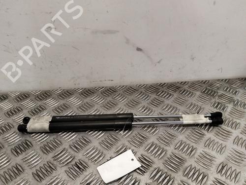 Used Tailgate lift support Tailgate lift support RENAULT CLIO III (BR0/1, CR0/1) 1.5 dCi (75 hp) 36562817 36562817