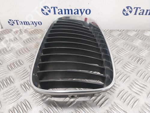 Grille BMW 1 (E87)  | BP25715451C40