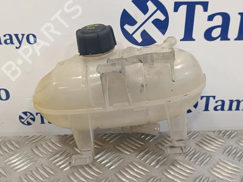 Used Expansion tank RENAULT TRAFIC III Van (FG_) [2014-2025]  16756411