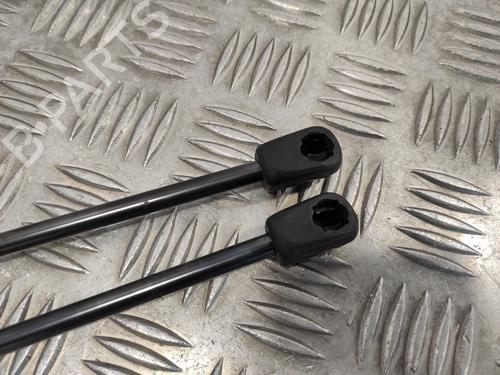 Hood lift support HYUNDAI SANTA FÉ II (CM)  | BP18082234C139 