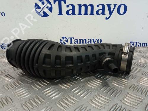 Pipe NISSAN QASHQAI / QASHQAI +2 I (J10, NJ10, JJ10E)  | BP25847582M125 