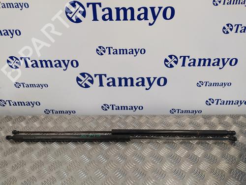 Used Tailgate lift support SEAT TOLEDO III (5P2) 2.0 TDI 16V (140 hp) 14358699