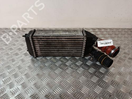 Used Intercooler Intercooler CITROËN C3 II (SC_) 1.6 HDi 90 (90 hp) 40291726 40291726