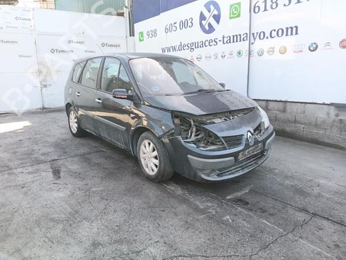 Used Parts RENAULT GRAND SCÉNIC II (JM0/1_) 1.9 dCi (JM14) 4987756