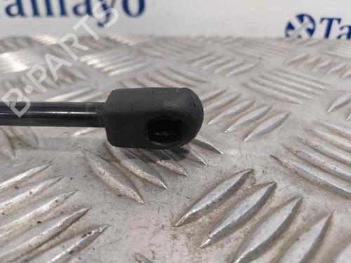 Hood lift support VW TOUAREG (7LA, 7L6, 7L7)  | BP30112650C139 