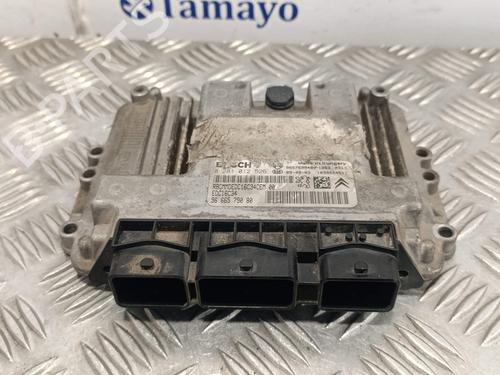Used Engine control unit (ECU) PEUGEOT 206+ (2L_, 2M_) [2009-2013]  23966598