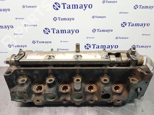 Used Cylinder head FORD ESCORT V (AAL, ABL) [1990-1996]  10970116