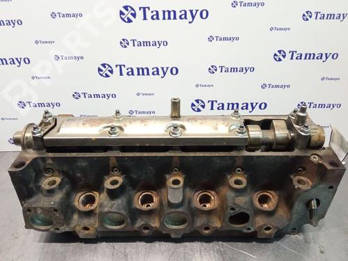 Cylinder head FORD ESCORT V (AAL, ABL) [1990-1996]  10970116