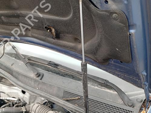 hood-lift-support-dacia-sandero-ii-2012-36998437 main image