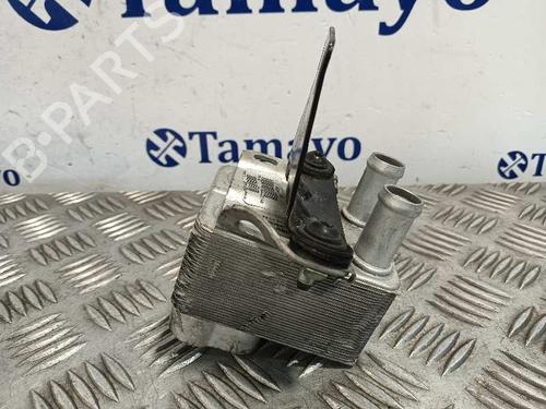 Oil radiator VW GOLF SPORTSVAN VII (AM1, AN1)  | BP26573039M33 