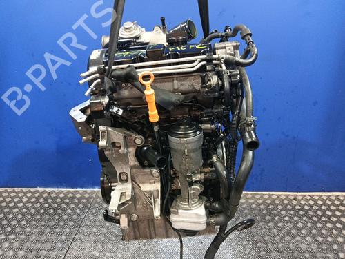 Used Engine SEAT IBIZA III (6L1) 1.4 TDI (80 hp) 30598049