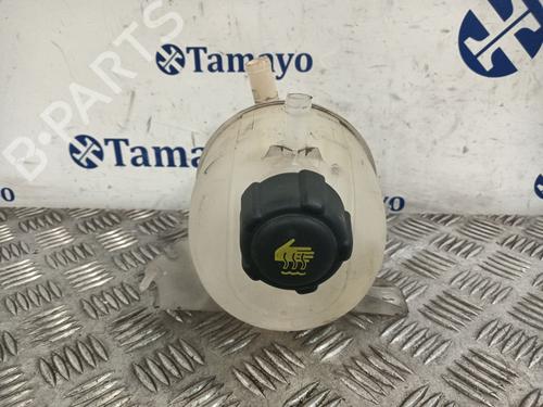 expansion-tank-dacia-duster-hs_-2010-2011-2012-2013-2014-2015-2016-2017-2018-31860443 main image