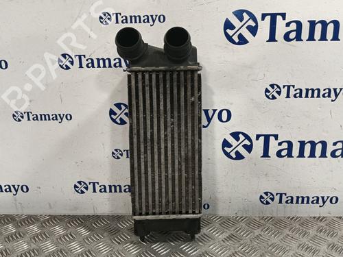 Używane Intercooler / Chłodnica powietrza doładowującego CITROËN C4 II (NC_) [2009-2025]  29999152