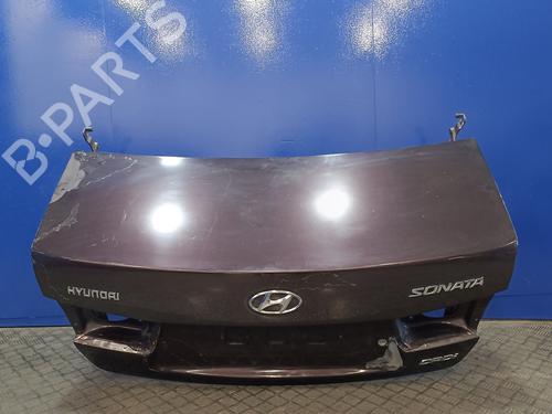 Tailgate HYUNDAI SONATA V (NF) 2.0 CRDi (140 hp) 16852921