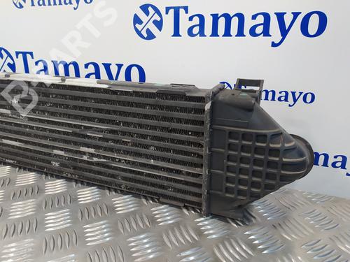 Intercooler FORD S-MAX (WA6)  | BP12069479M30 