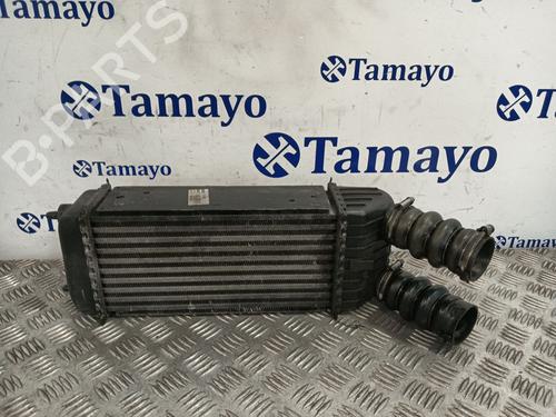 Used Intercooler PEUGEOT 207 (WA_, WC_) 1.6 HDi (90 hp) 31610758