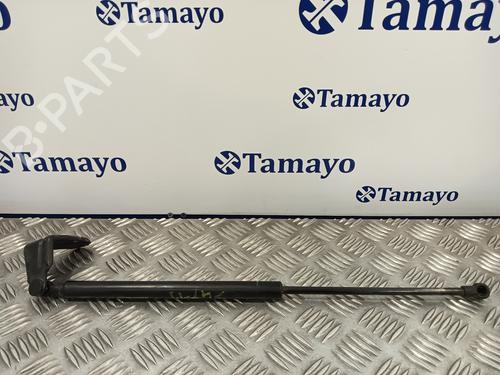 Used Hood lift support SEAT ALHAMBRA (7V8, 7V9) 2.0 TDI (140 hp) 14359297