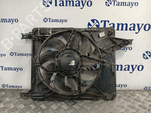 Used Radiator fan NISSAN QASHQAI I (J10, NJ10) 2.0 (141 hp) 31171817
