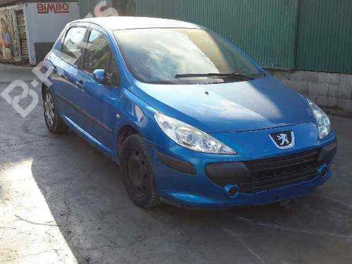 Hood PEUGEOT 307 (3A/C)  | BP101373C1 