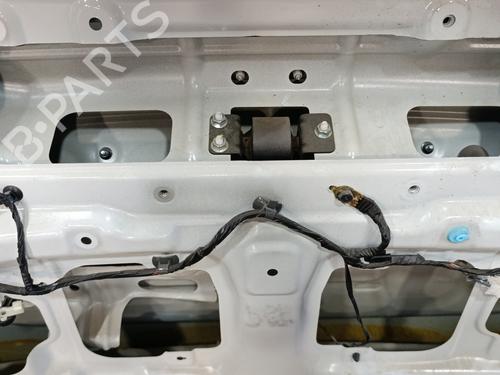 Tailgate HYUNDAI SANTA FÉ II (CM)  | BP18031086C6 