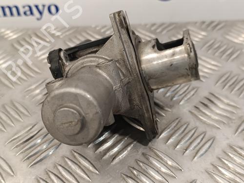 Egr RENAULT KANGOO / GRAND KANGOO II (KW0/1_) | BP16887662M69