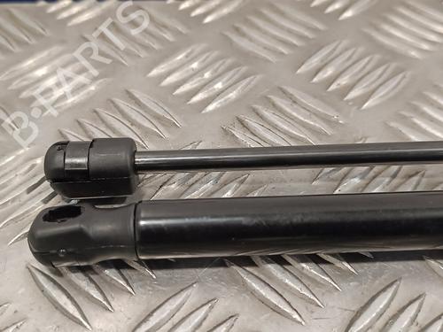 Tailgate lift support AUDI TT (8N3)  | BP16025360C138 
