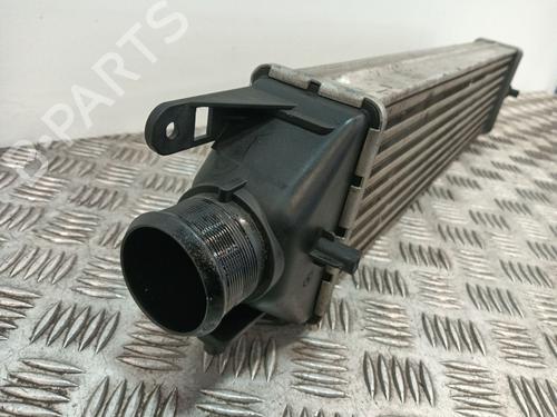 Intercooler FIAT DOBLO Cargo (263_) 1.3 D Multijet | BP35954363M30 - Image 2