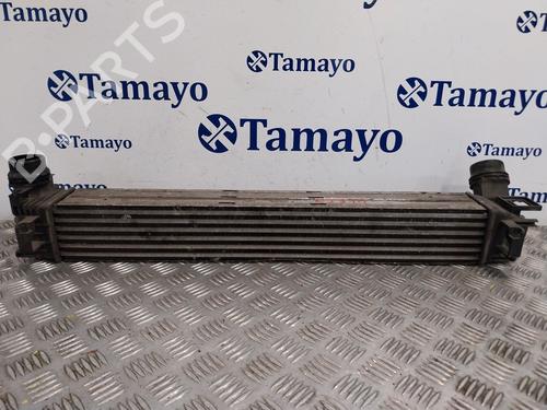 Used Intercooler RENAULT SCÉNIC III (JZ0/1_) [2008-2016]  28337406